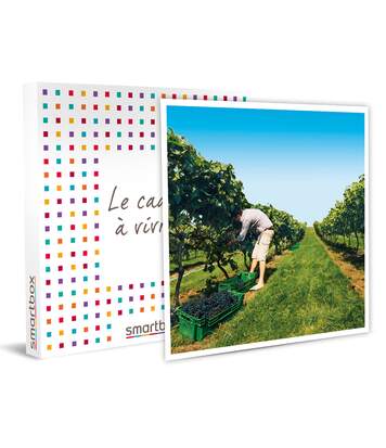 SMARTBOX - À la découverte de nos vignobles - Coffret Cadeau Gastronomie